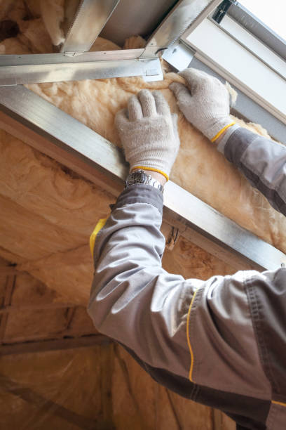 Best Insulation Maintenance and Repair in Postville, IA